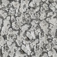 Photo High Resolution Seamless Asphalt Texture 0015